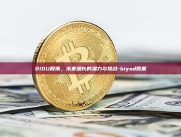 BIDU股票，未来增长的潜力与挑战-biyad股票