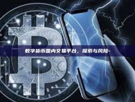 数字货币国内交易平台，探索与风险-