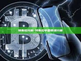 特斯拉分析-特斯拉中国市场分析