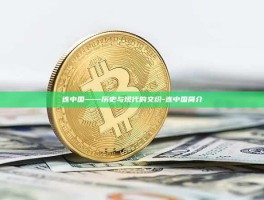 连中国——历史与现代的交织-连中国简介