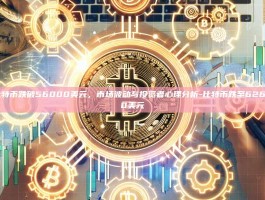 比特币跌破56000美元，市场波动与投资者心理分析-比特币跌至62660美元