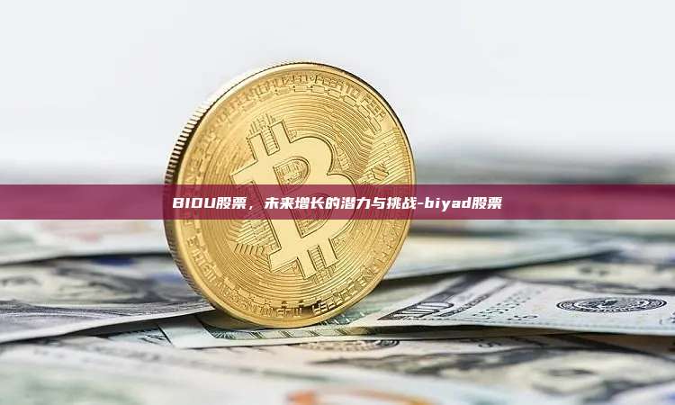 BIDU股票,未来增长的潜力与挑战-biyad股票