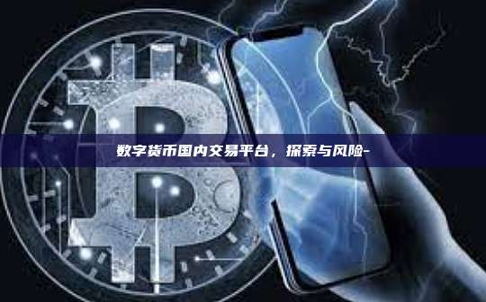数字货币国内交易平台,探索与风险-