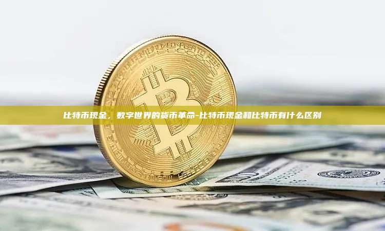 比特币现金,数字世界的货币革命-比特币现金和比特币有什么区别