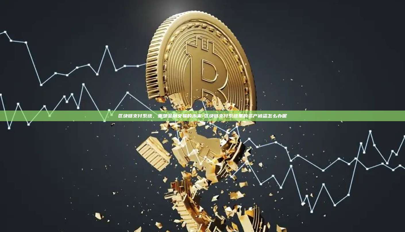 区块链支付系统,重塑金融交易的未来-区块链支付系统里的资产被盗怎么办呢