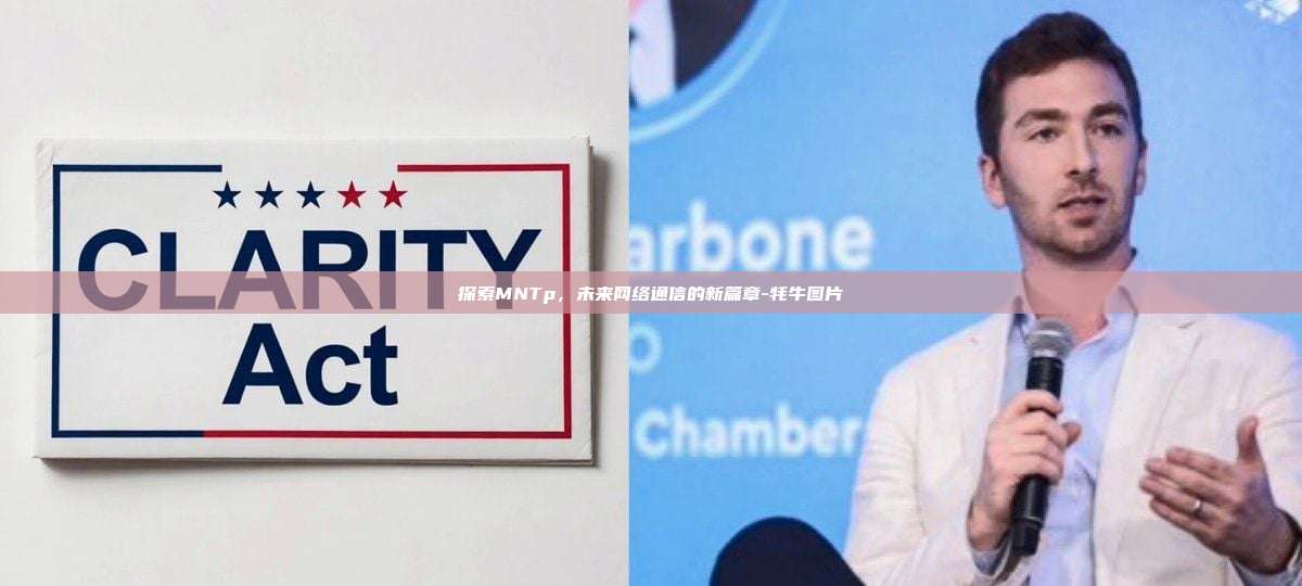 探索MNTp,未来网络通信的新篇章-牦牛图片
