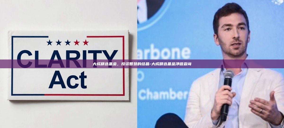 大成精选基金,投资智慧的结晶-大成精选基金净值查询